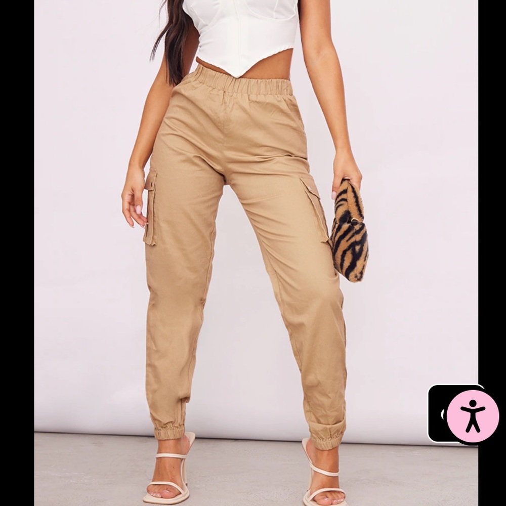 PLT Stone Cargo Pants